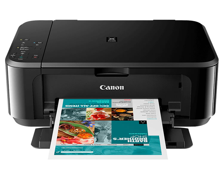 Canon Pixma Mg3650s Negro