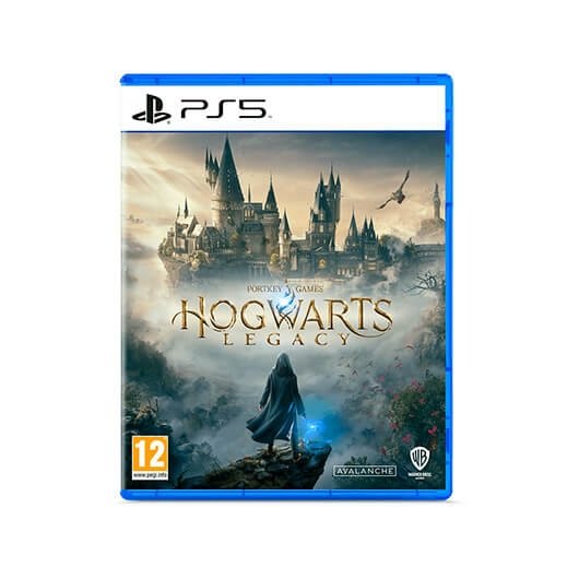 Juego Sony Ps5 Hogwarts Legacy
