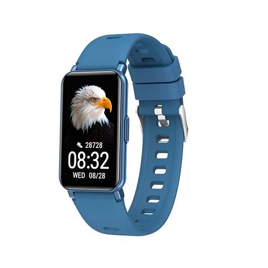 Smartwatch Maxcom Fw53 Nitro Blue