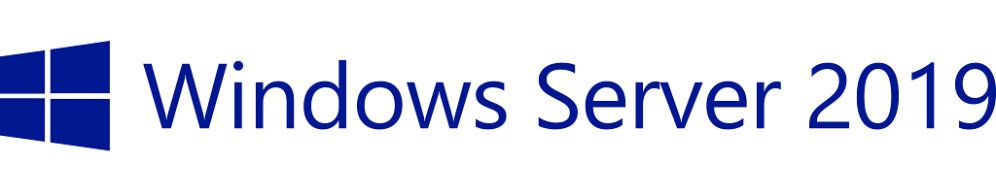 Hpe Microsoft Windows Server 2019 5cal Usuario