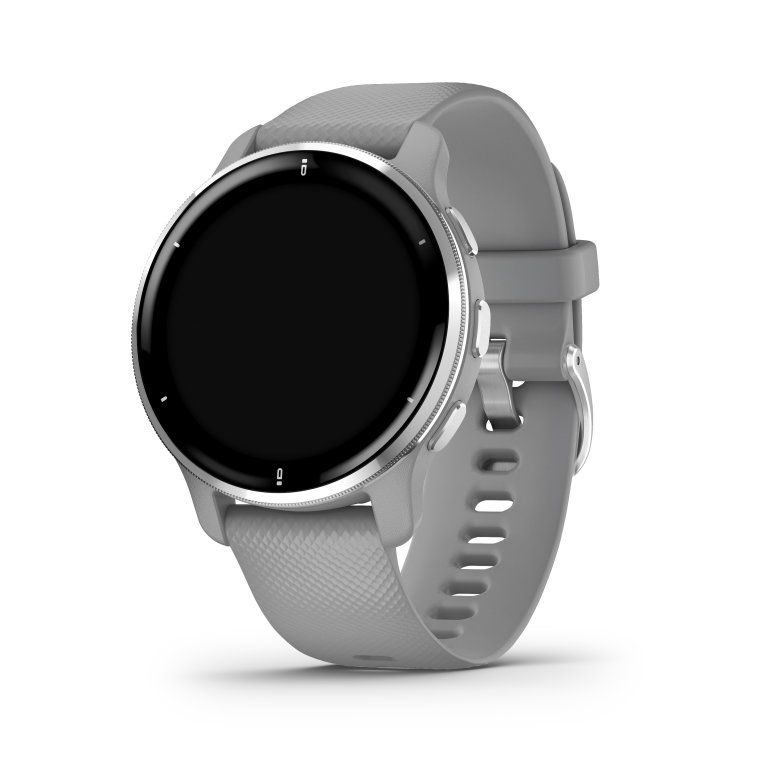 Smartwatch Garmin Venu 2 Plus Gris Plata