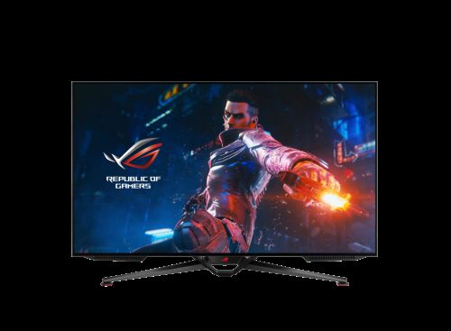 Asus Rog Swift Pg42uq