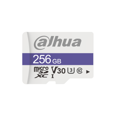 Dahua Technology C100 256 Gb Microsdxc