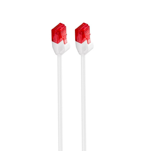 Ewent Im1035 Cable De Red 0 25 M Cat6 Uu