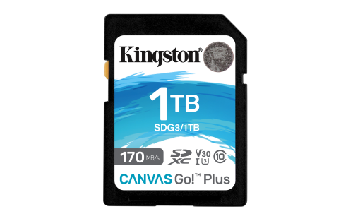 Kingston Canvas Go Plus 1 TB