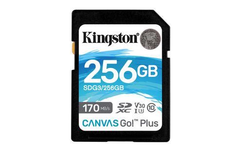 Kingston Technology Canvas Go Plus 256 GB SD Clase 10