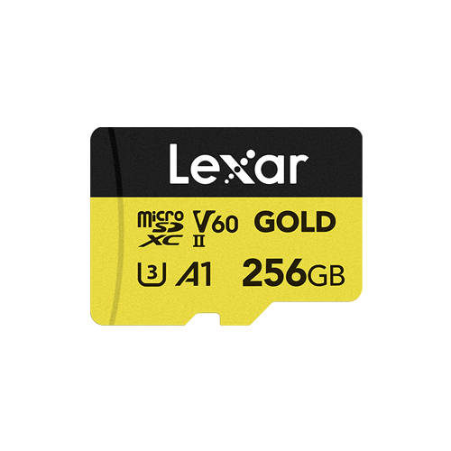 Lexar Professional GOLD 256 GB MicroSDX