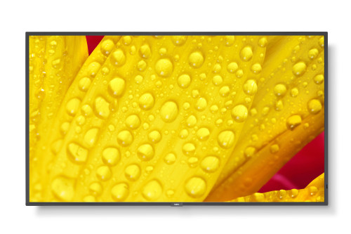 NEC MultiSync M501 2