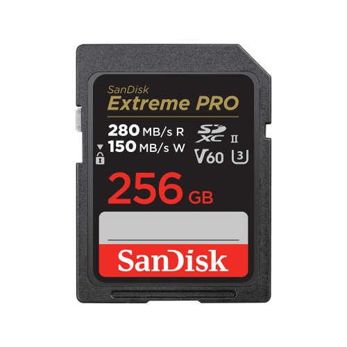 SanDisk SDSDXEP 256G GN4IN