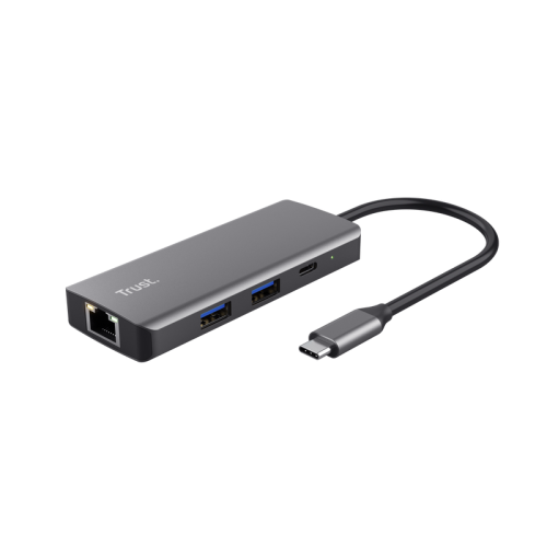 Trust Dalyx USB Tipo C 1000 Mbits Plata