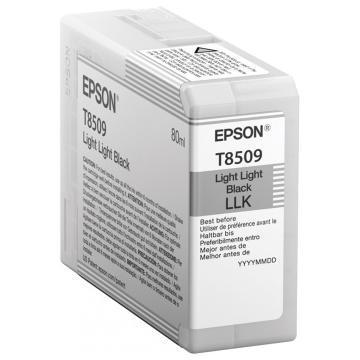 Epson Singlepack Light Light Black T850900