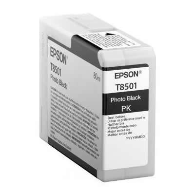 Epson Singlepack Photo Black T850100