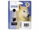 Epson Singlepack Photo Black T096140